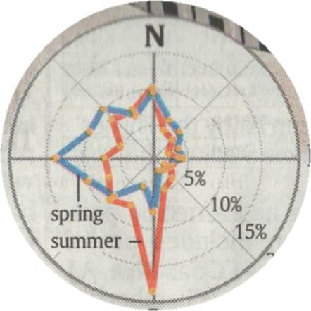 yankee stadium wind rose